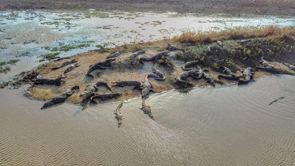 Crocodile Park Bungalow Катарагама Экстерьер фото